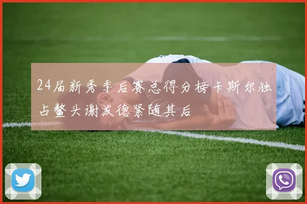 24届新秀季后赛总得分榜卡斯尔独占鳌头谢泼德紧随其后