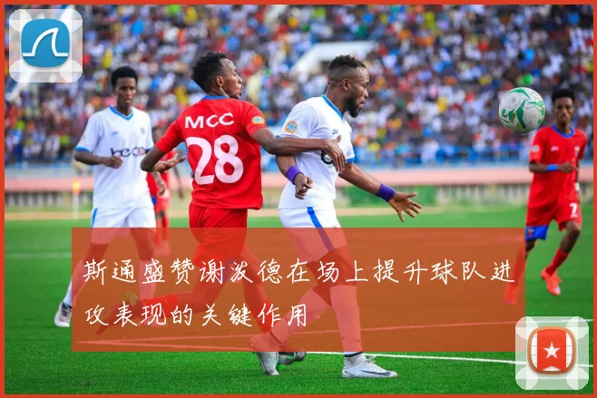斯通盛赞谢泼德在场上提升球队进攻表现的关键作用