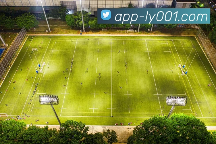 乐鱼APP 封面图