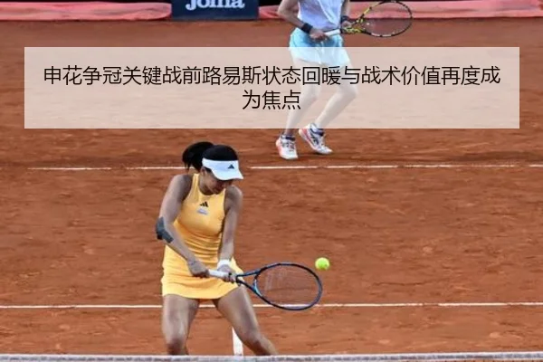 申花争冠关键战前路易斯状态回暖与战术价值再度成为焦点 - LeyuSports